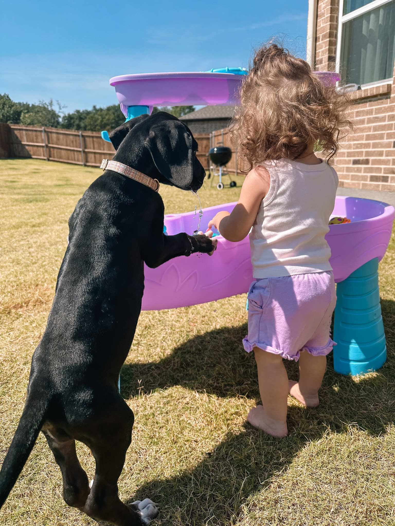 cutest kids water table! 

#LTKBaby #LTKFindsUnder100 #LTKKids