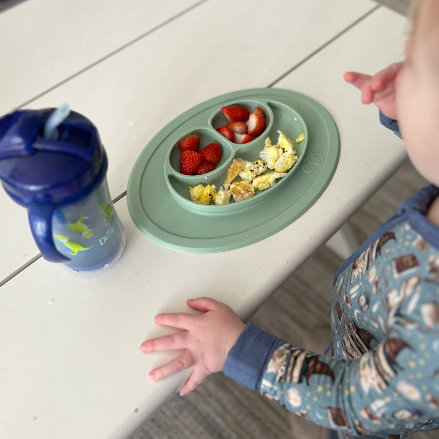 Toddler breakfast necessity! 🍓🍳

#LTKFamily #LTKKids #LTKBaby