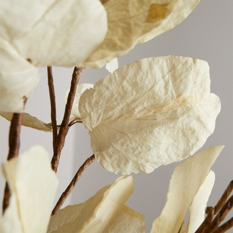 Mussaenda Leaf Stem + Reviews | Crate and Barrel | Crate & Barrel