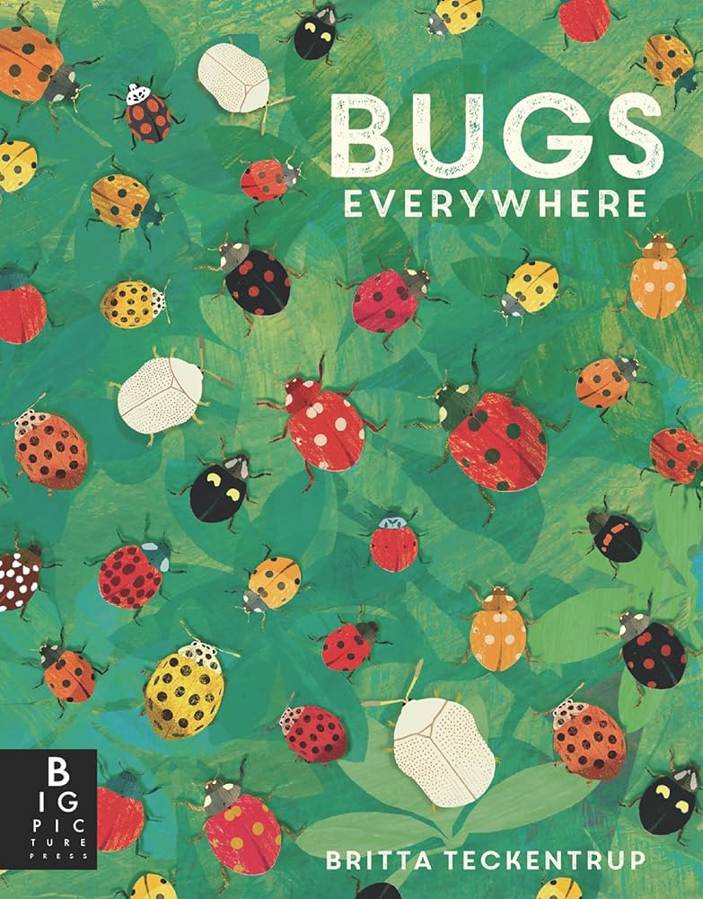 Bugs Everywhere (Animals Everywhere) | Amazon (US)