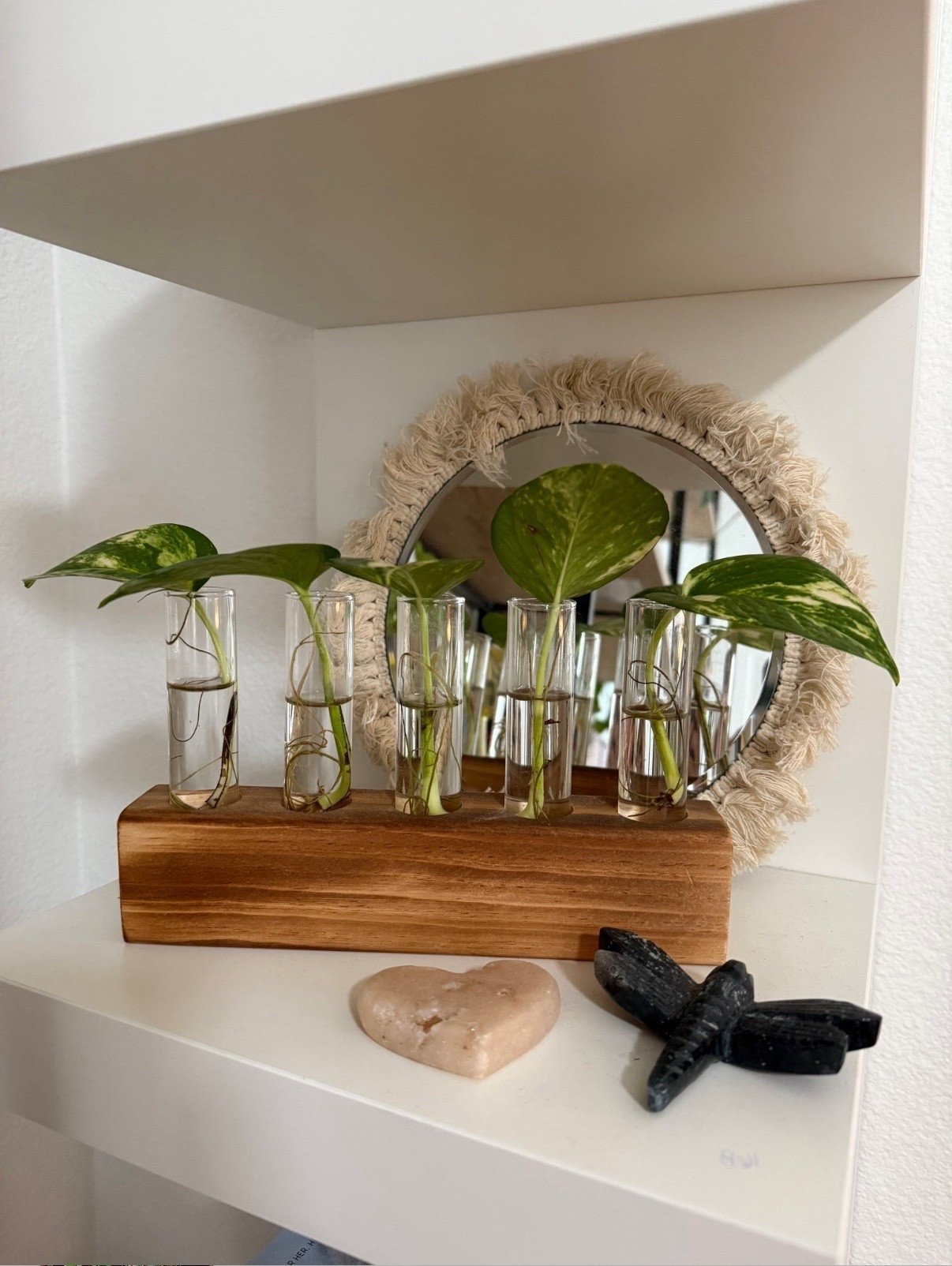 Propagation station in my office! 

#LTKFindsUnder50 #LTKHome

#LTKHome #LTKSeasonal