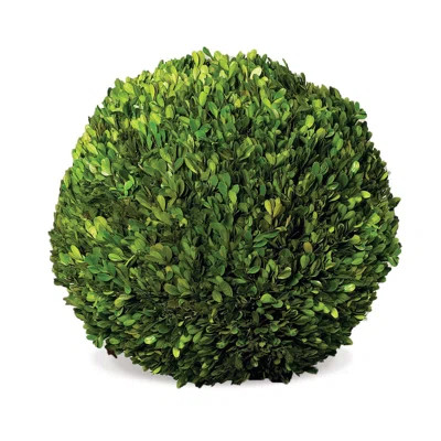 Nigel Preserved Boxwood Topiary | Wayfair North America