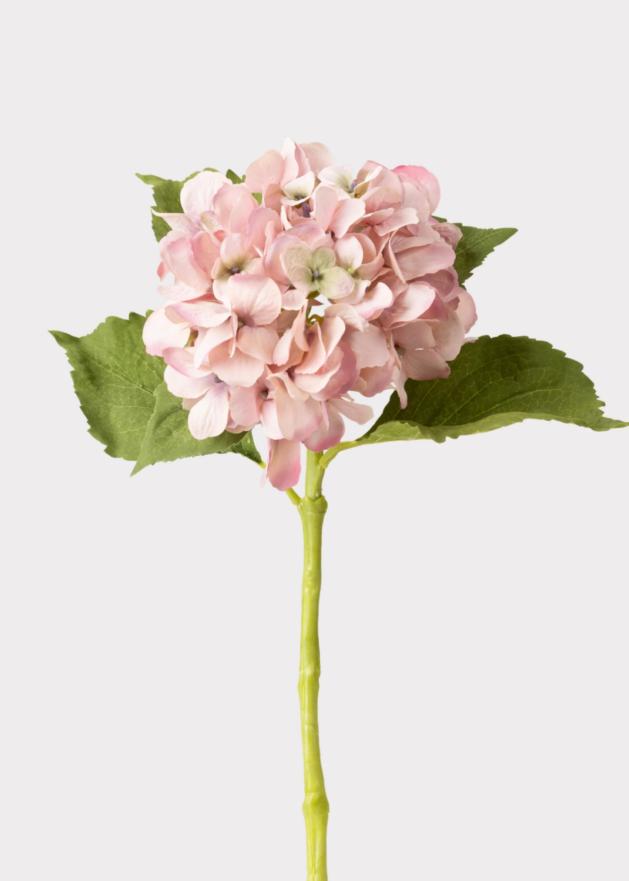 Antique Pink Hydrangea Stem | Best Artificial Flowers at Afloral | Afloral