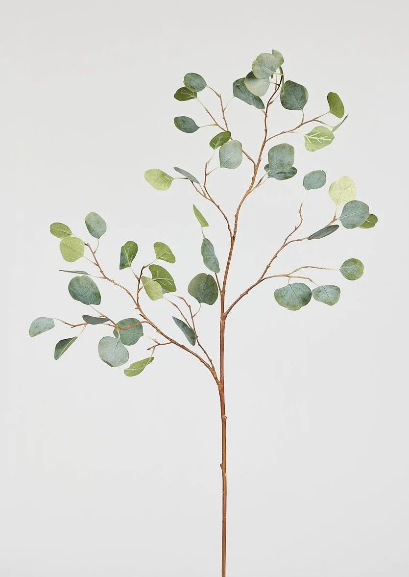 Artificial Silver Dollar Eucalyptus Branch - 44" | Afloral