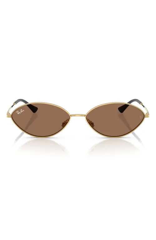 Ray-Ban Kai 56mm Oval Sunglasses in Gold/Dark Brown at Nordstrom | Nordstrom