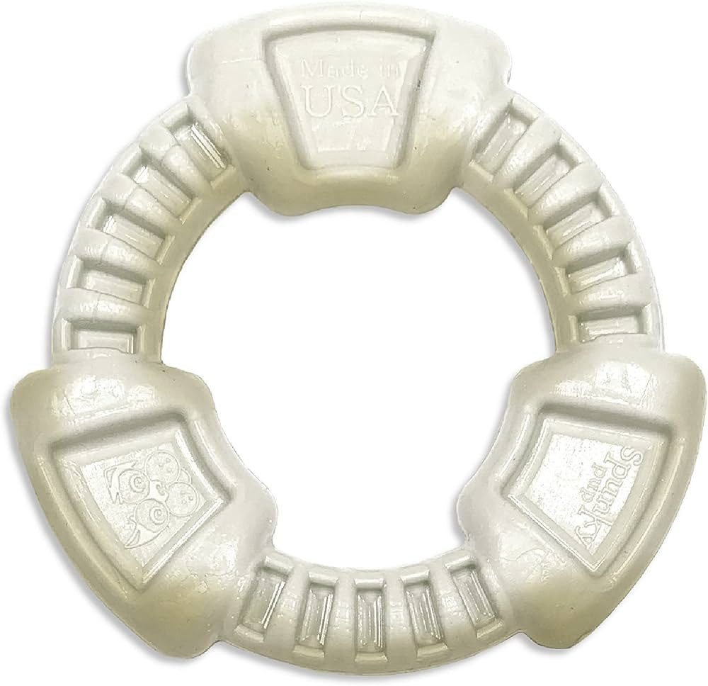 Spunky Pup Clean Earth Recycled Ring Dog Toy | Made from 100% Recycled Water Bottles | Eco-Friend... | Amazon (US)