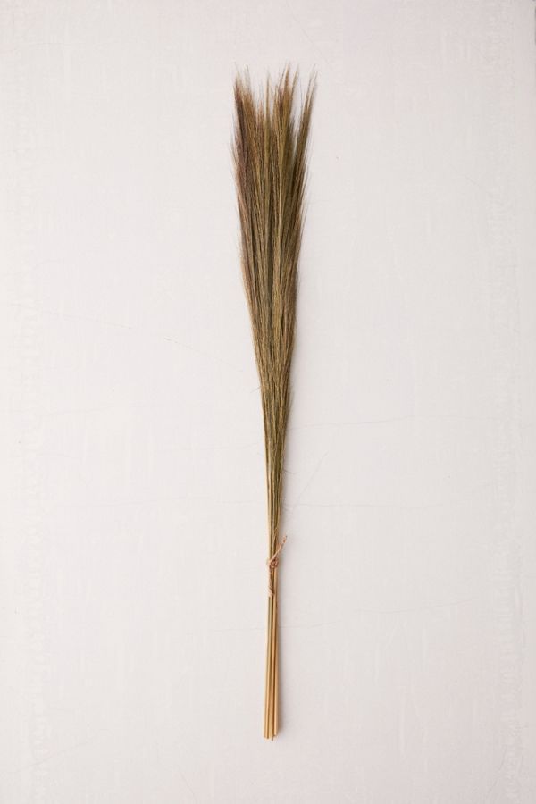 Dried Feather Grass Bunch | Urban Outfitters (US and RoW)