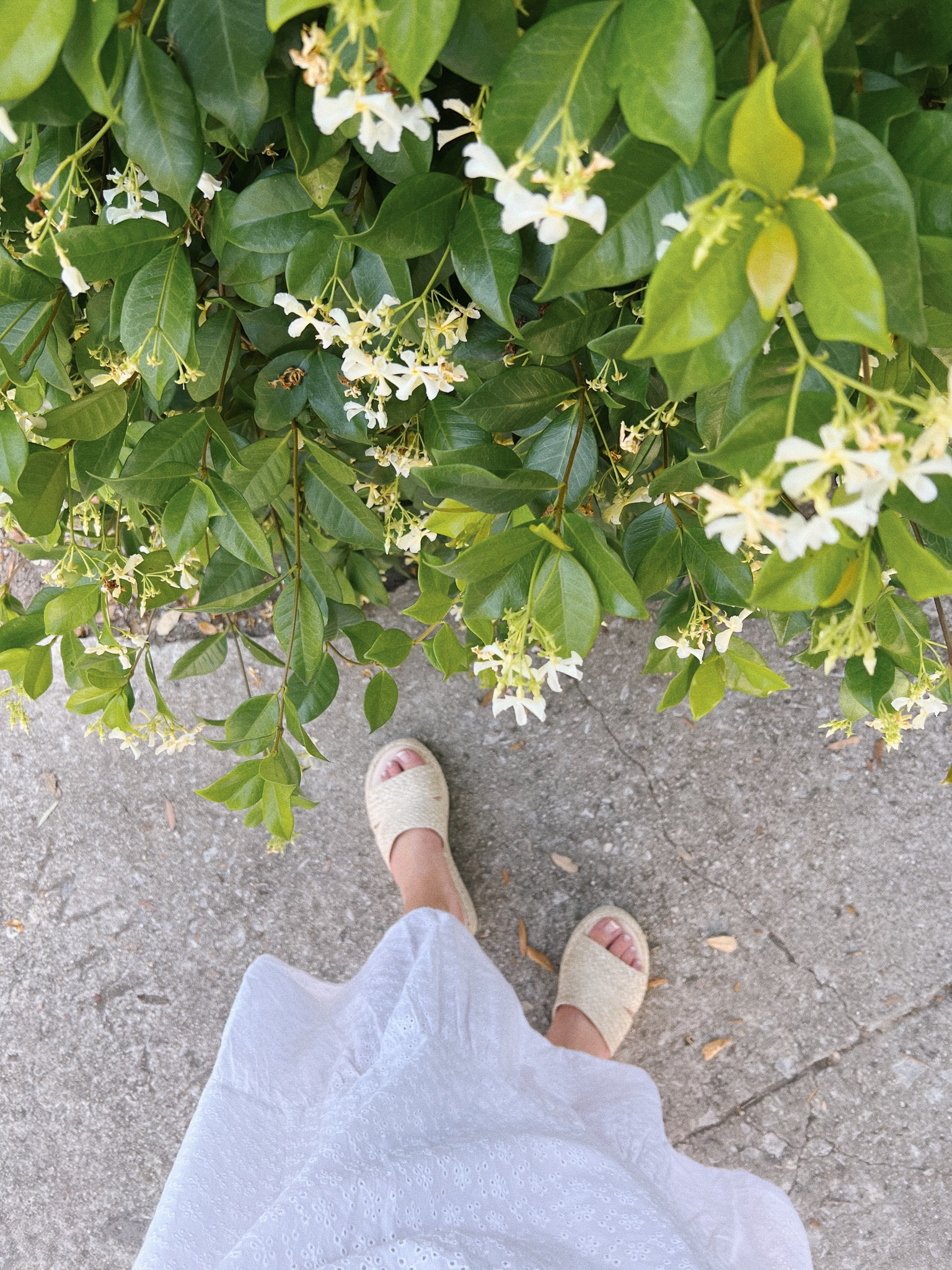 The BEST woven platforms! These are $45 too! Hurry to buy for spring 

#LTKSeasonal #LTKshoecrush #LTKunder50