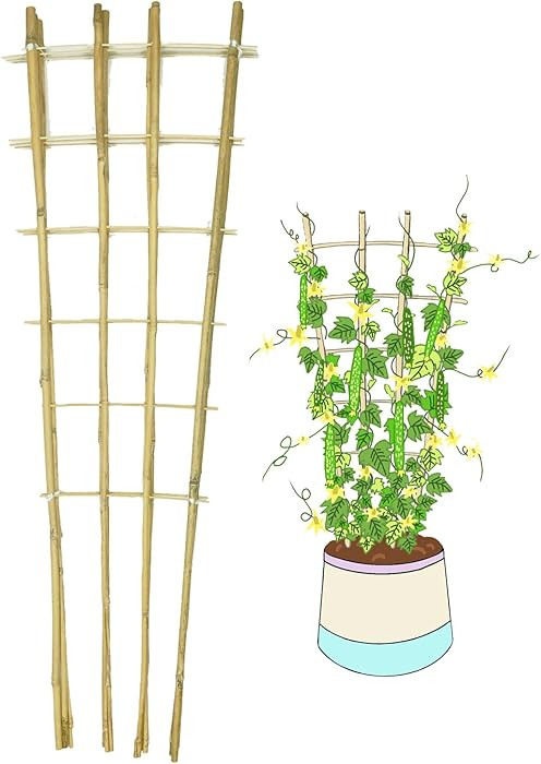 Natural Bamboo Trellis, 4Feet,3Pack,Fan-Shaped Plant Support Trellis for Outdoor and Indoor Potte... | Amazon (US)
