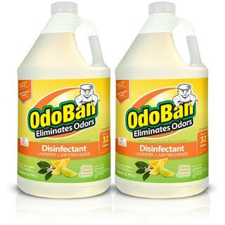 1 Gal. Citrus Disinfectant and Odor Eliminator, Fabric Freshener, Mold Control, Multi-Purpose Concentrate (2-Pack) | The Home Depot