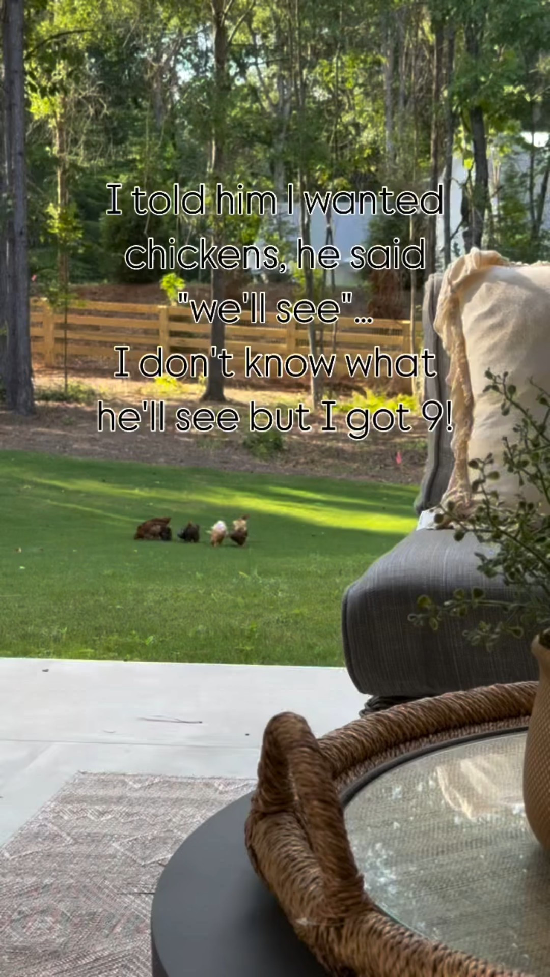 Can't wait to get more chickens 🤣

#chickensofinstagram #backyardchickens #chickenmom #chickenmath #porcheandco #marriagehumor #MarriedLife #husbandhumor #chickensofinstagram
#chickenlady #chicken-life 