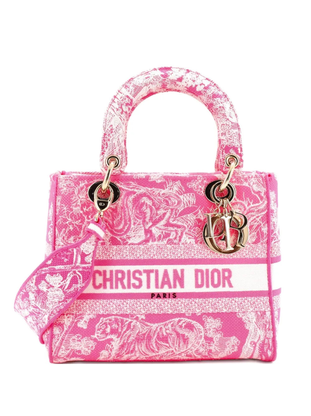 Christian Dior Pre-Owned Lady D-Lite Bag Embroidered Canvas Medium satchel - Pink | Farfetch Global