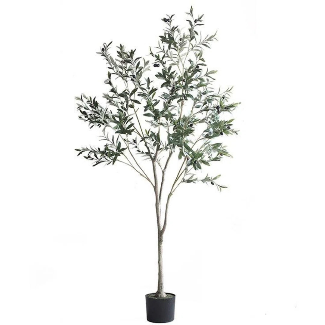 Primrue 6" Artificial Olive Tree Tree in Pot & Reviews | Wayfair | Wayfair North America