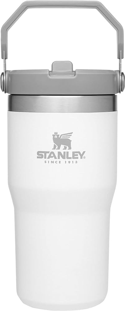 STANLEY IceFlow Stainless Steel Tumbler with Straw, Vacuum Insulated Water Bottle for Home, Offic... | Amazon (US)