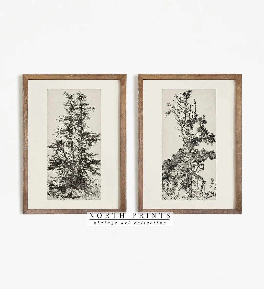 Antique Tree Sketch Print SET | Neutral Rustic Cabin Decor | Digital PRINTABLE | S2-60 | Etsy (CAD)