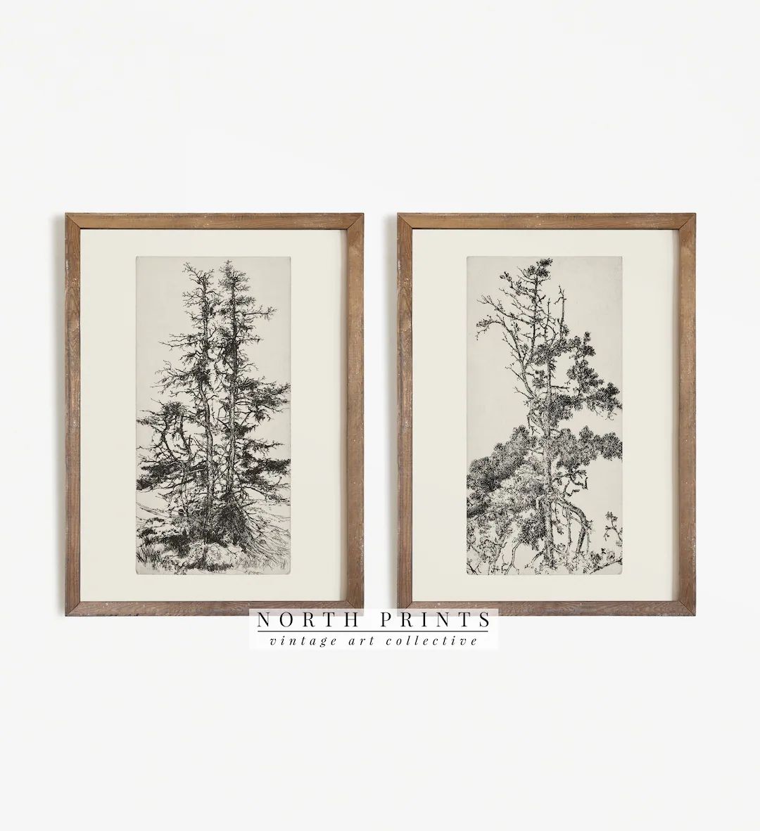 Antique Tree Sketch Print SET | Neutral Rustic Cabin Decor | North Prints Digital PRINTABLE | S2-... | Etsy (US)
