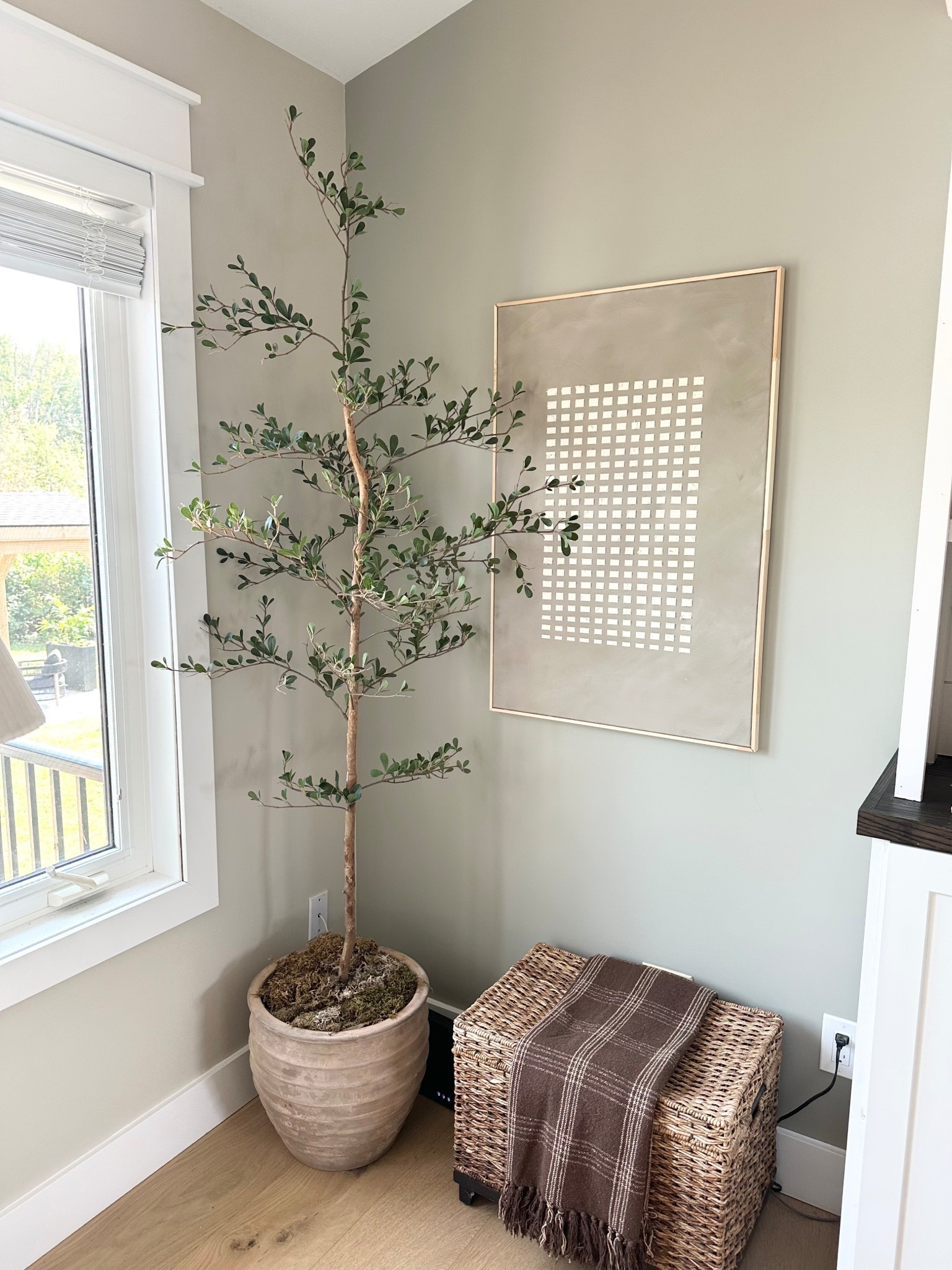 SALE: Affordable black olive tree

#LTKSaleAlert #LTKHome