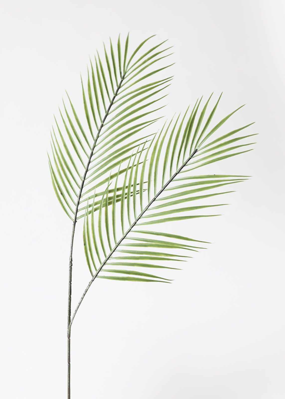 Artificial Tropical Palm Leaf - 33.5" | Afloral (US)