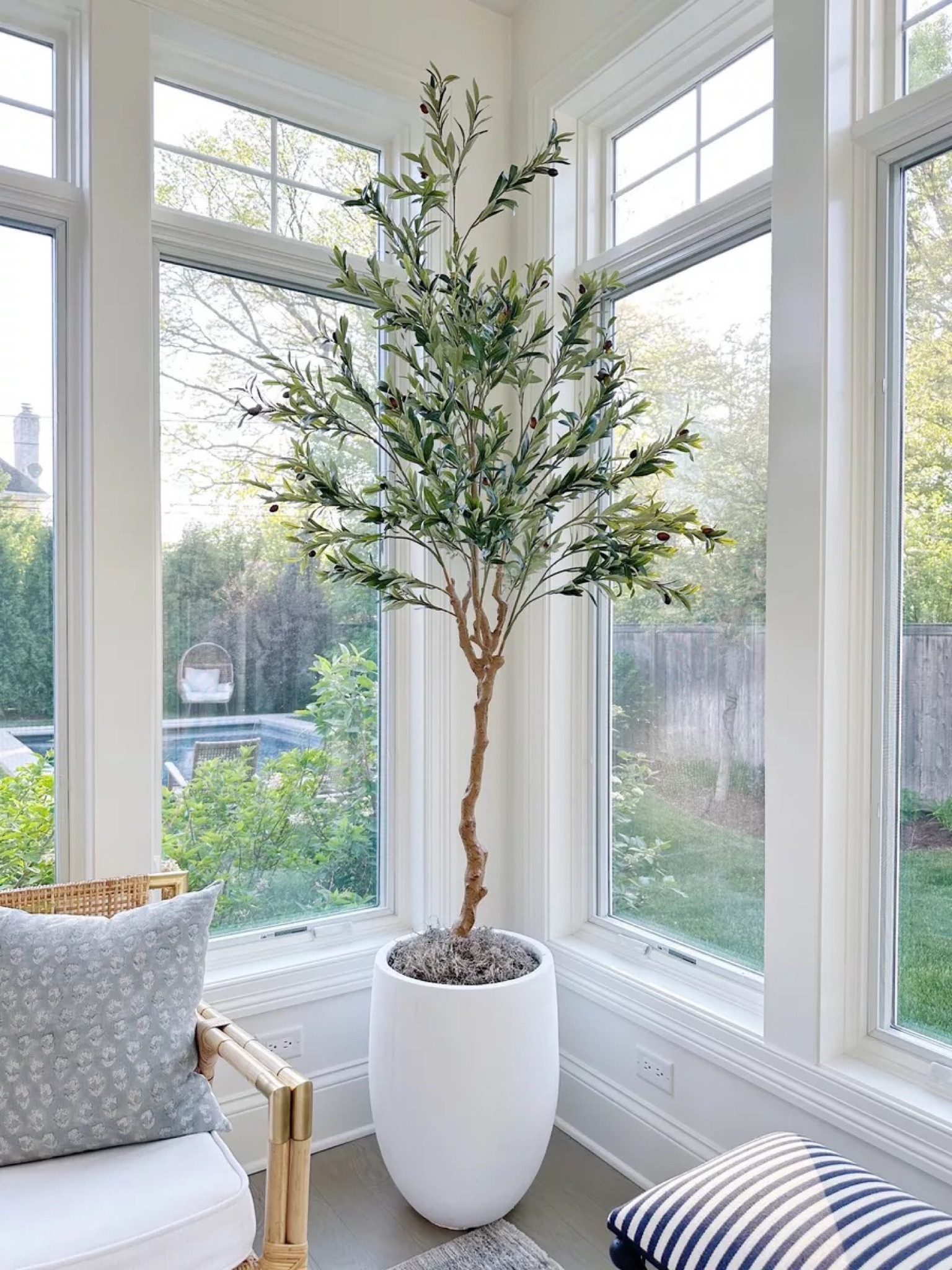 Sharing my new fave Amazon faux olive tree! I used the 7 foot option, and paired with this gorgeous planter! Perfect for your living room or bedroom!

(9/10)

#LTKstyletip #LTKU #LTKhome