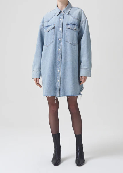Jessa Shirt Dress in Flush | AGOLDE