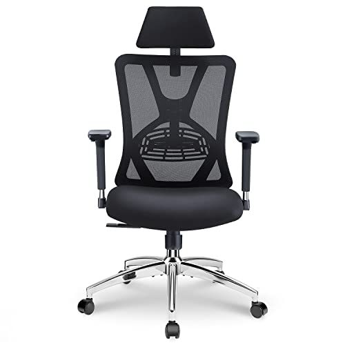 Ticova Ergonomic Office Chair - High Back Desk Chair with Adjustable Lumbar Support, Headrest & 3D M | Amazon (US)