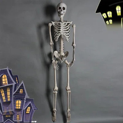 Halloween Poseable Human Skeleton Props Party Decor | Wayfair North America