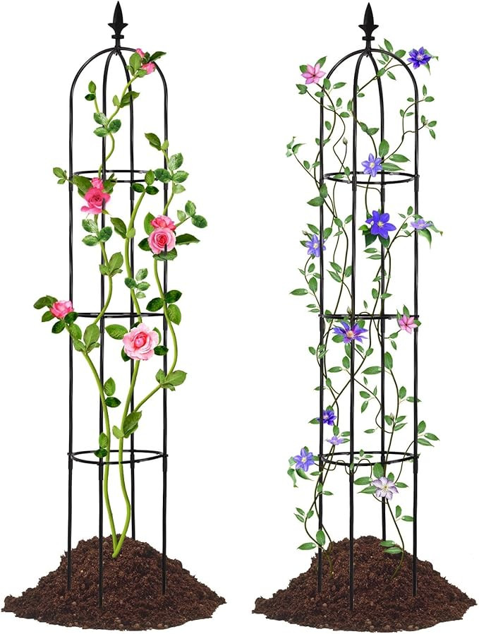 Lalahoni Garden Trellis for Climbing Plants Outdoor, 2 Pack 6ft Tall Plant Trellis Support for Po... | Amazon (US)