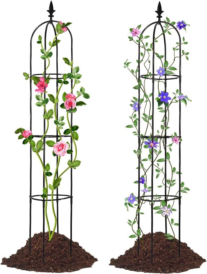 Lalahoni Garden Trellis for Climbing Plants Outdoor, 2 Pack 6ft Tall Plant Trellis Support for Po... | Amazon (US)