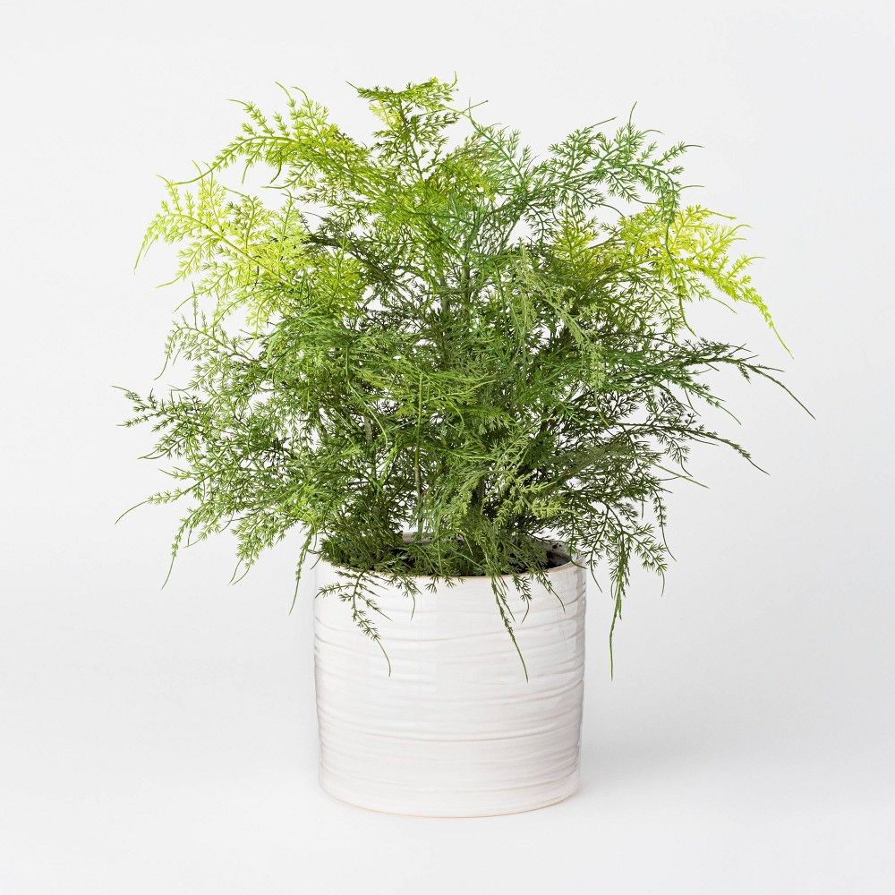 21"" x 10"" Artificial Fern Plant in Pot Green/White - Threshold designed with Studio McGee | Target