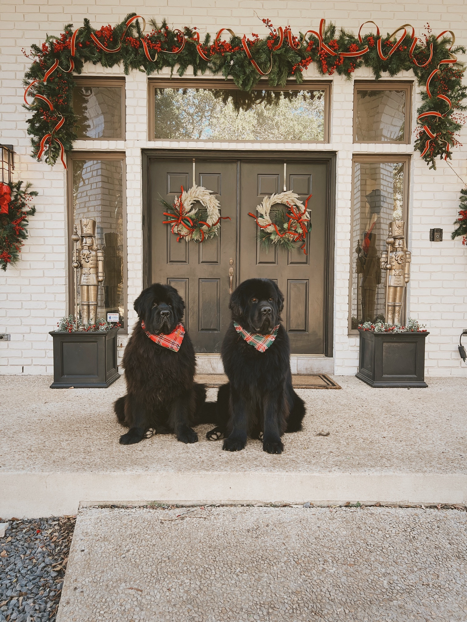 #LTKhome #LTKHoliday #LTKSeasonal