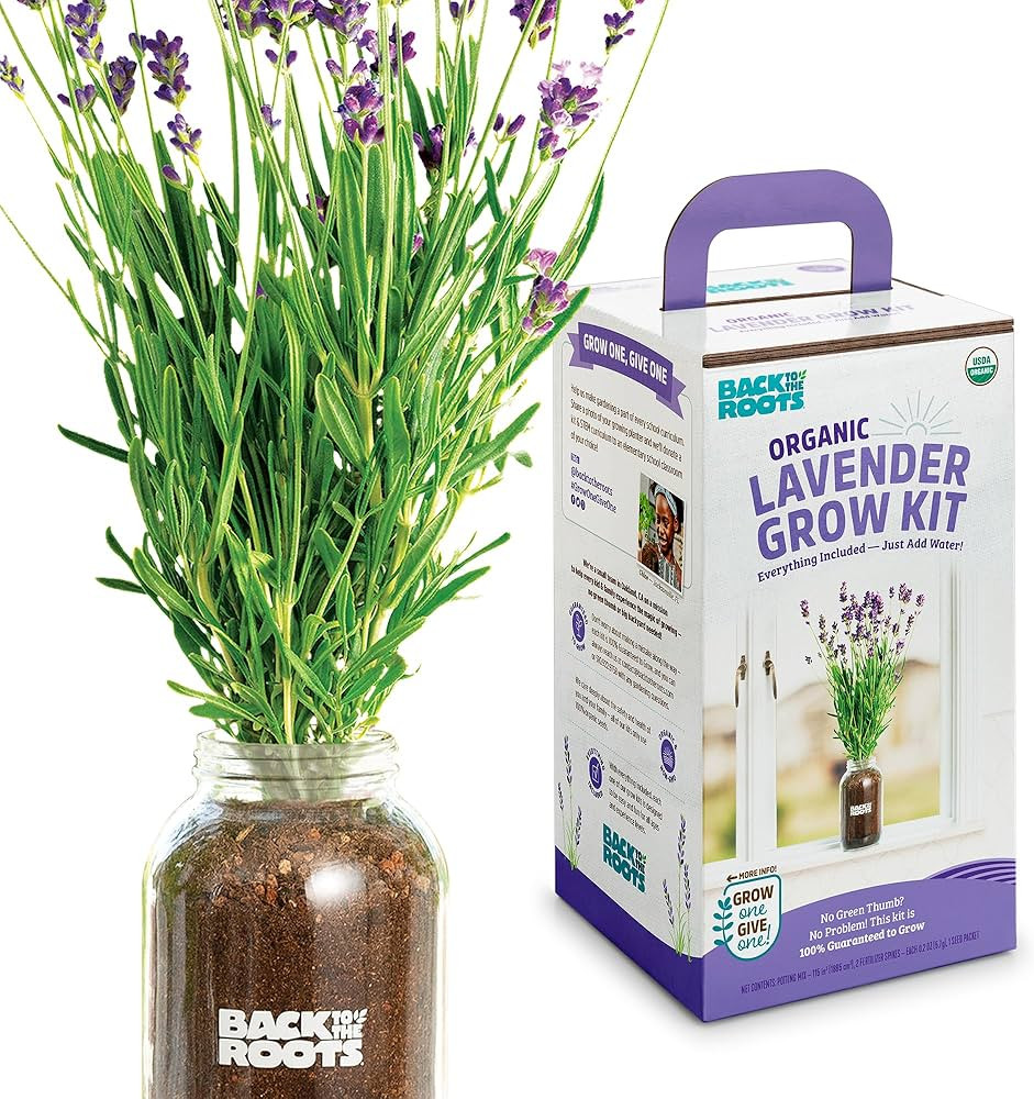 Back to the Roots Windowsill Planter: Lavender | Amazon (US)
