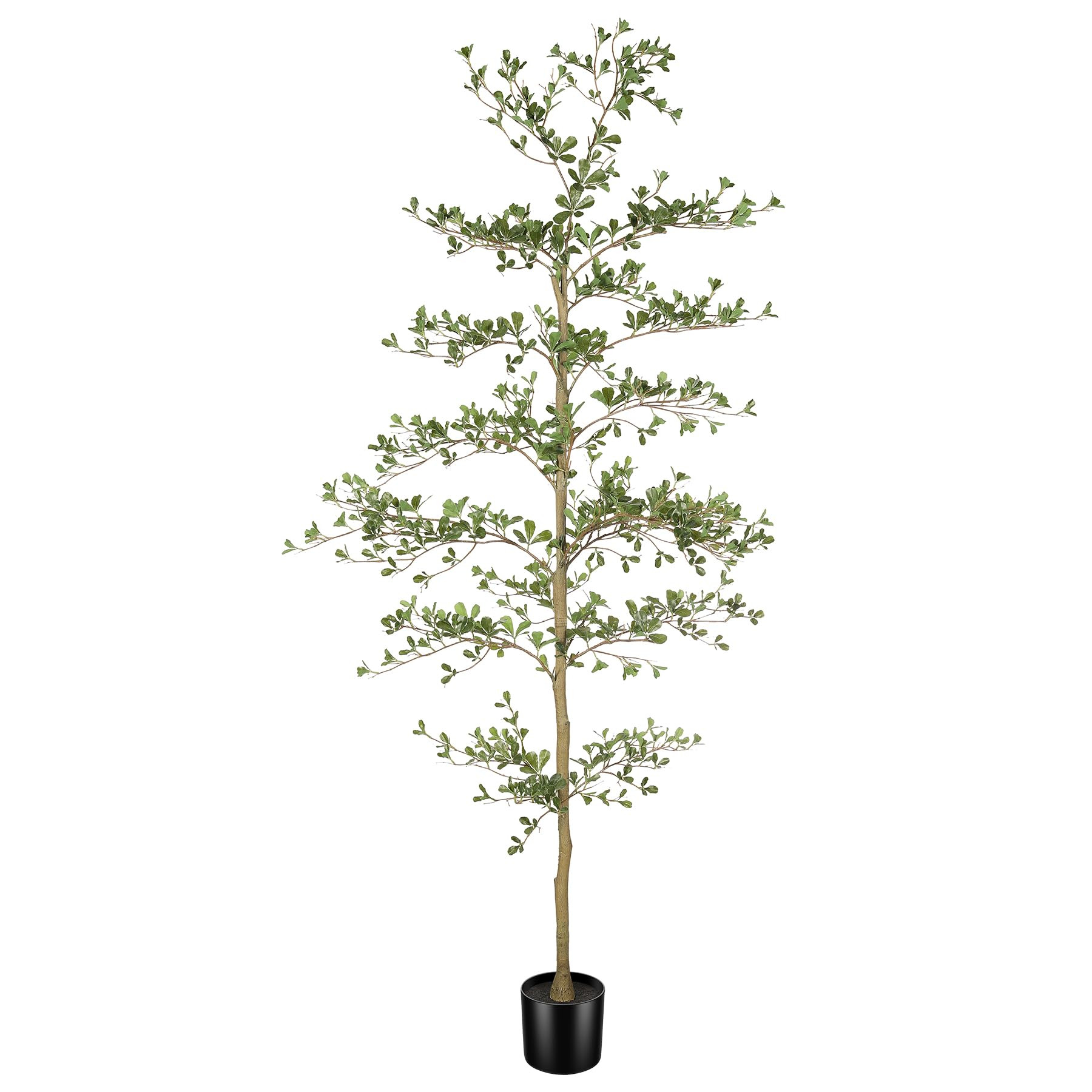 Black Olive Tree 7ft - Faux Black Olive Tree with Natural Trunk and Realistic Leaves - Artificial... | Amazon (US)