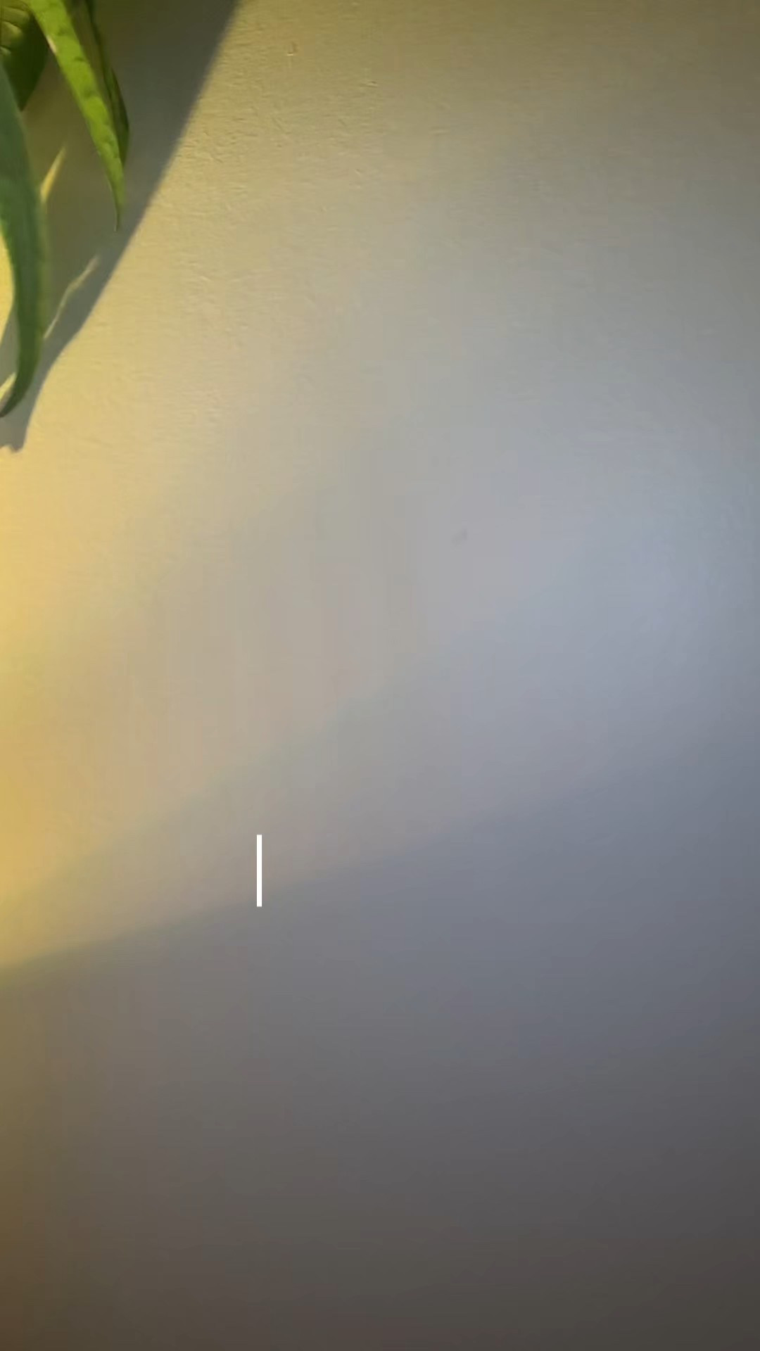 Deep Hydration Duo- Tir Tir Milk Toner formulated with Rice Bran Extract and Chamomile Extract for moist smooth skin.
Ceramic Cream- Skin loving ingredients such as Shea Butter and Witch Hazel for glossy porcelain skin. 

#LTKFindsUnder50 #LTKBeauty