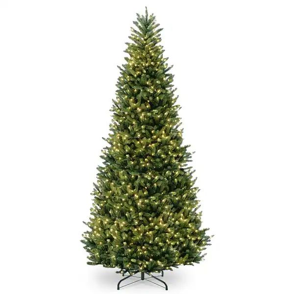 12 ft. Natural Fraser Slim Fir Tree with Clear Lights - 12ft. - 12 Foot - Green | Bed Bath & Beyond