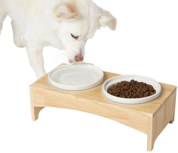 FRISCO Ceramic Dog & Cat Double Diner with Elevated Wood Stand, 1.75 Cups - Chewy.com | Chewy.com