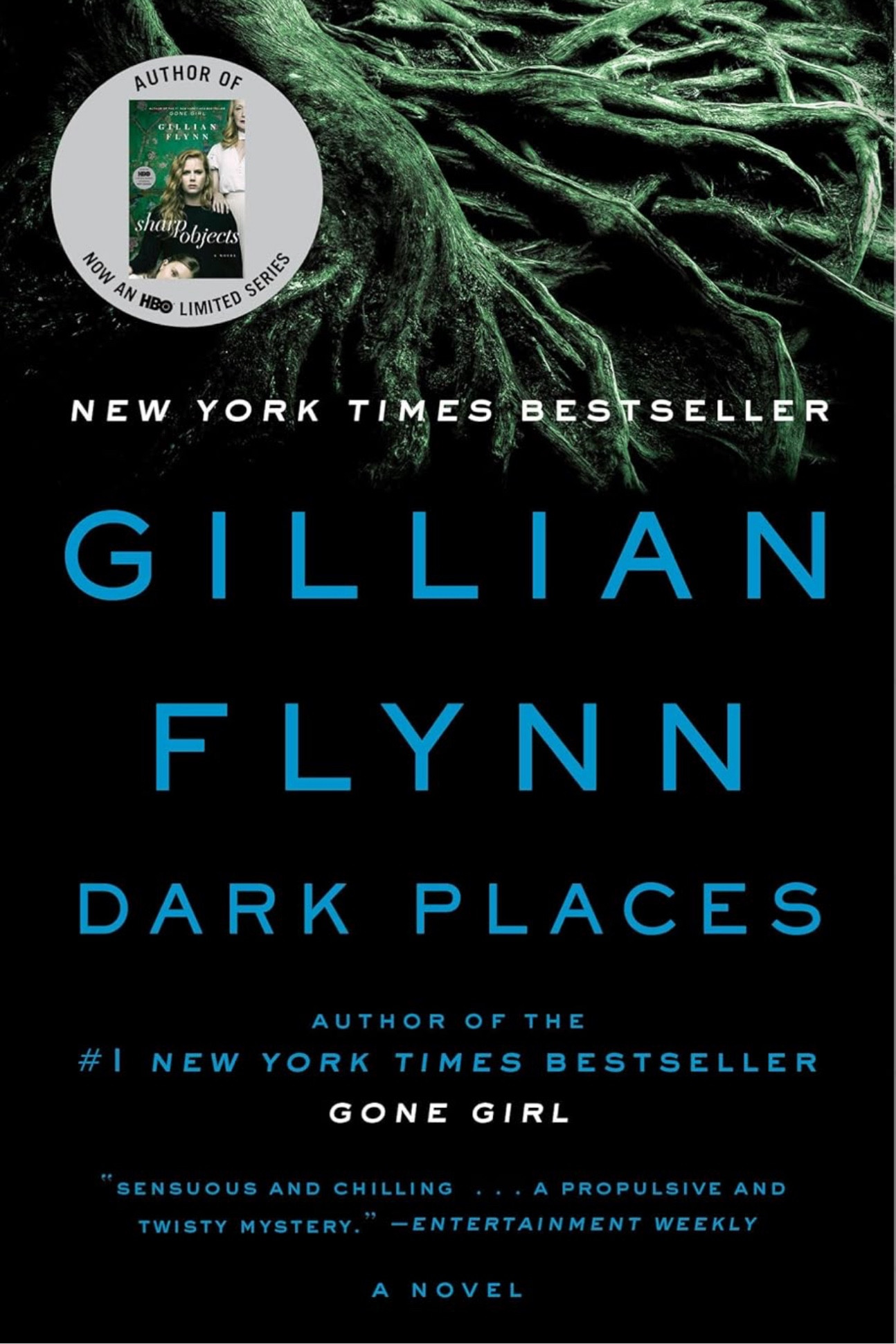 Mystery book of the month: Dark Places by Gillian Flynn 

#LTKHome #LTKFindsUnder50 #LTKWatchNow