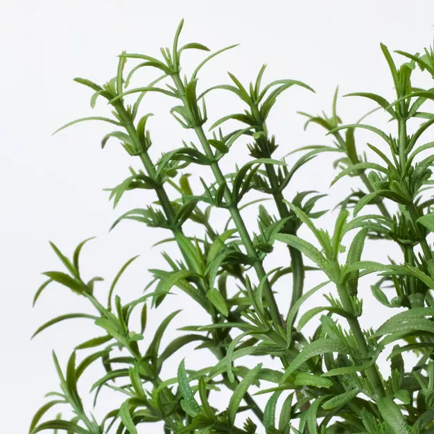 Rosemary Topiary - Threshold™ designed with Studio McGee | Target