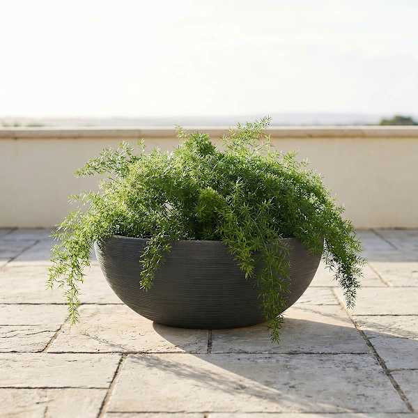 Japi All Weather Proof Lead Linea Low Bowl Planter, 12x35 | At Home