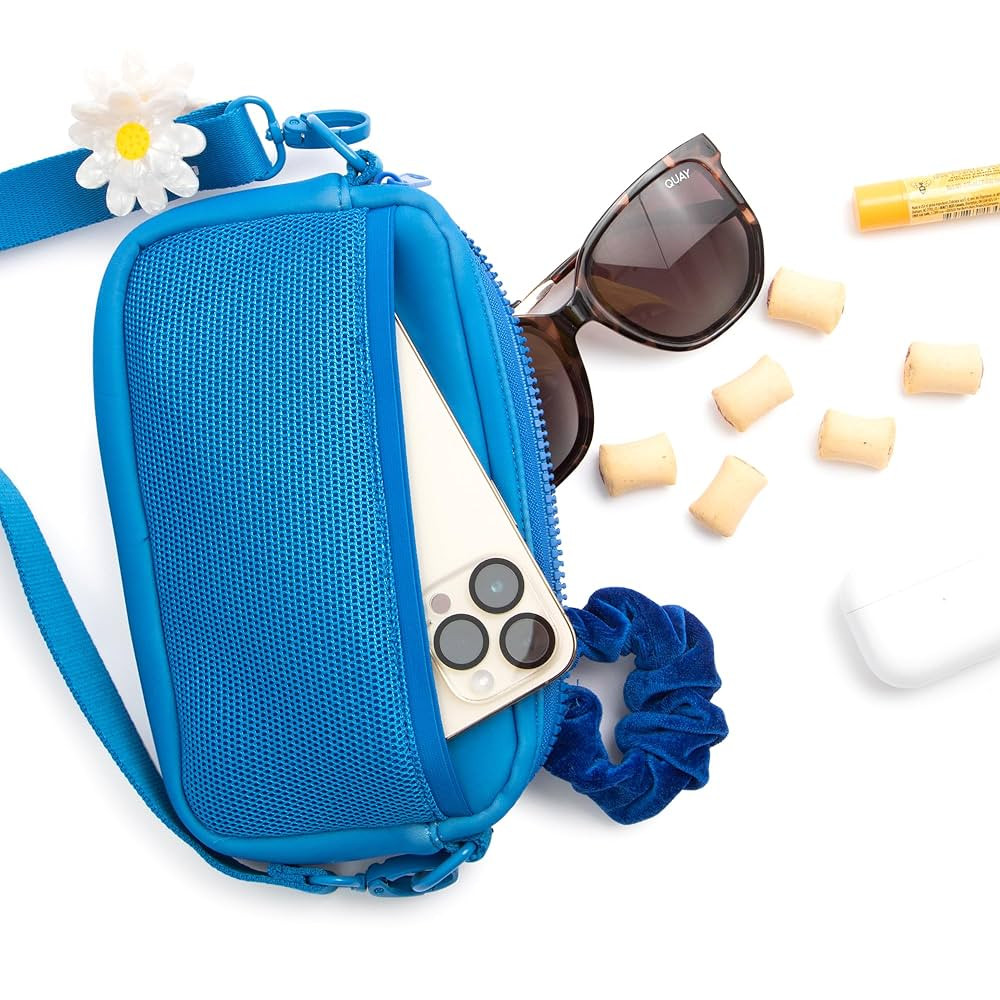 Lucy & Co. Crossbody Treat Bag, Pet Treat Pouch, Fanny Pack, Shoulder Bag, Wear 3 Ways, Hidden Po... | Amazon (US)