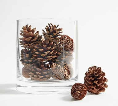 Mixed Pinecone Vase Filler | Pottery Barn (US)