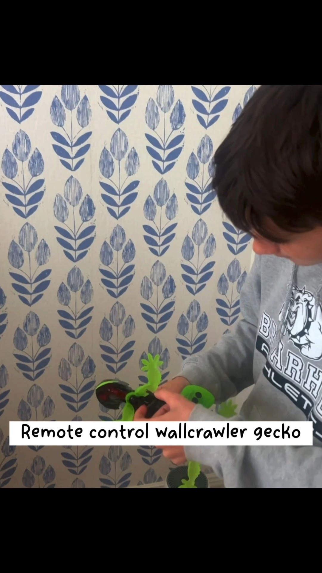 Fun gift for kids 3-13! The way it climbs the walls is crazy! Works best on a flat surface. Gecko is rechargeable and comes with a cord. Remote requires batteries. 
.


#LTKHoliday #LTKGiftGuide #LTKKids