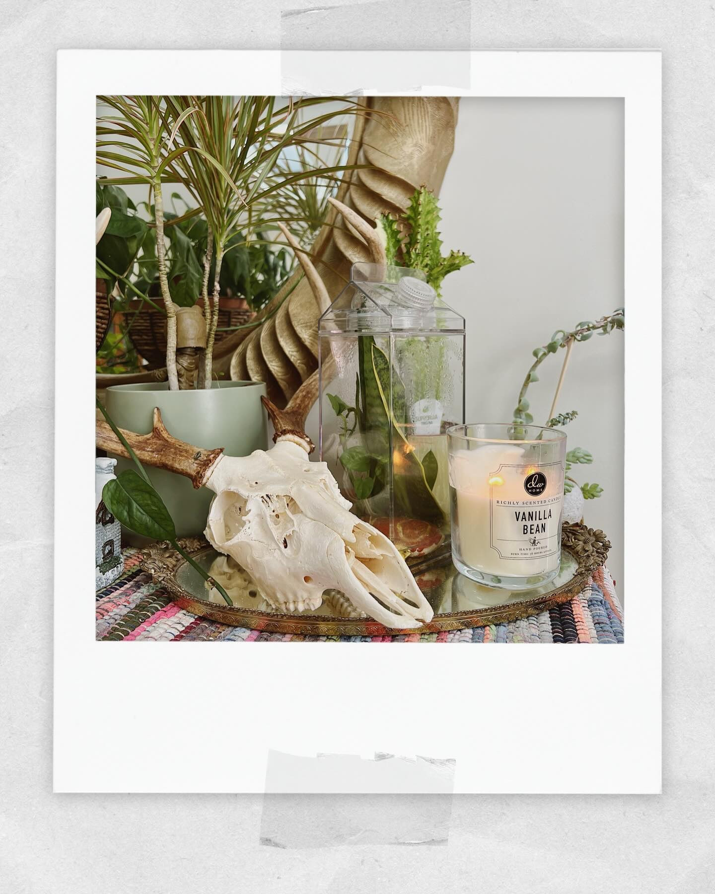 End of week mood 🥱☁️🪴🤍🕯️

#LTKHome