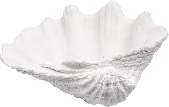 Medium White Scalloped Clam Shell Bowl Sea Shell Decor for Nautical Beach House,Coastal Decor Gif... | Amazon (US)