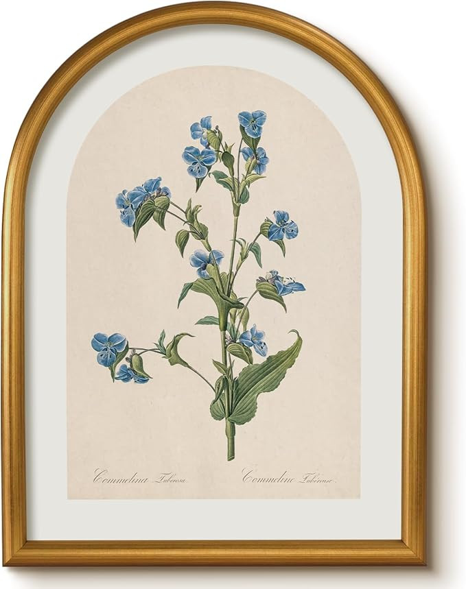 VIYYIEA Vintage Floral Wall Art, Botanical Artwork for Walls 12×16 in | Amazon (US)