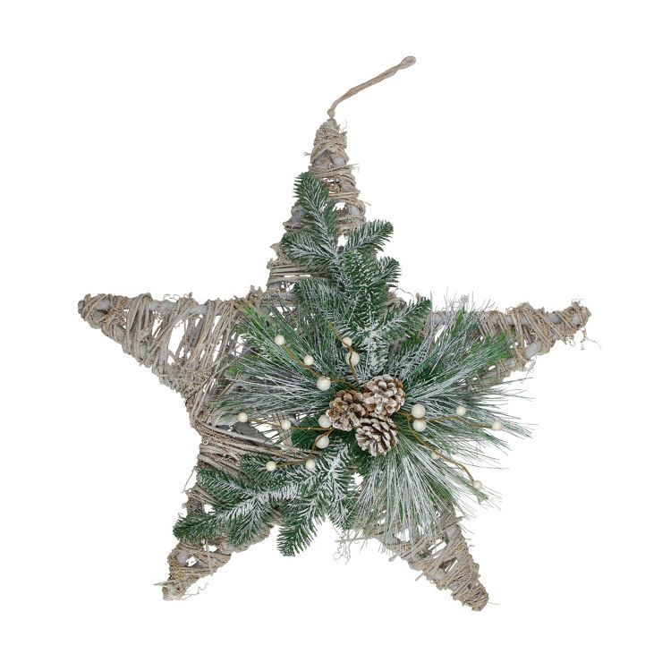 Northlight 24" Green, Gray, and Brown Frosted Mixed Pine Hanging Star Christmas Ornament | Target