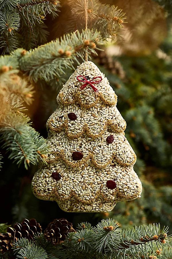 Bird Seed Christmas Tree | Terrain