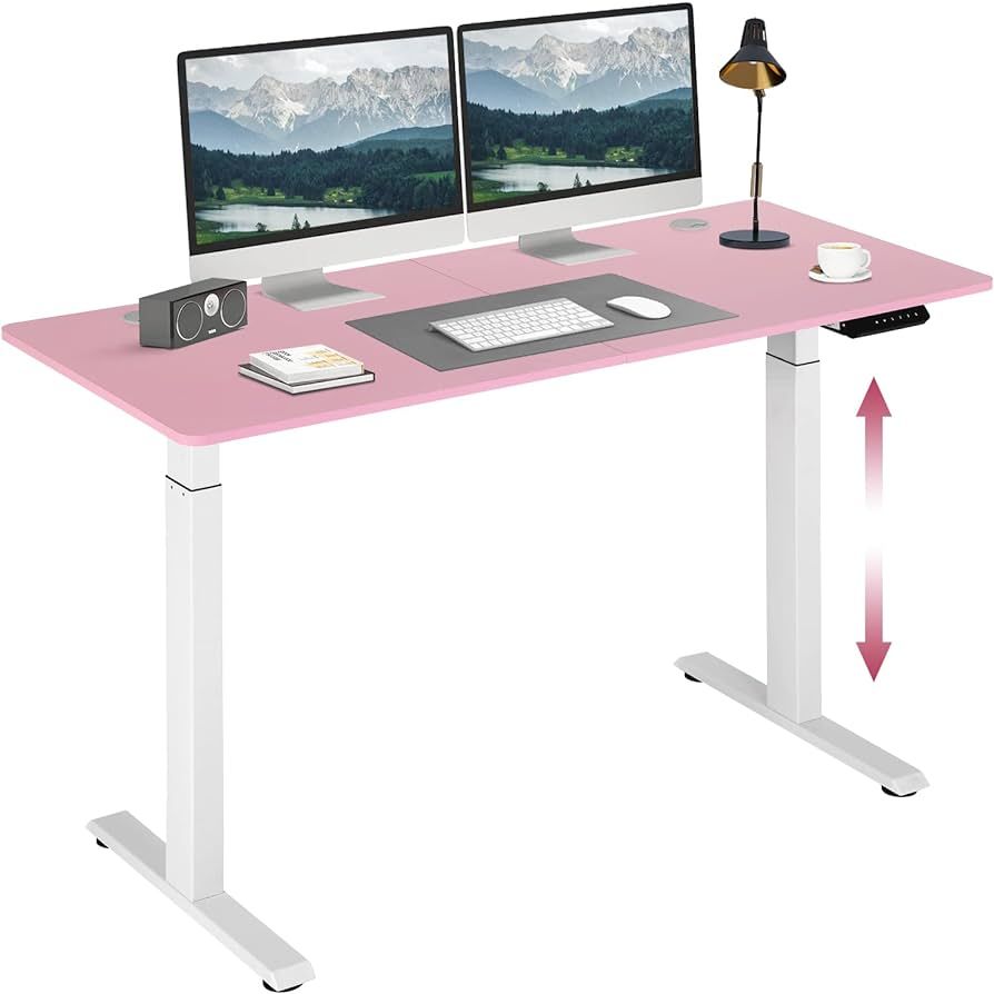 Standing Desk Converter Electric Height Adjustable Computer Desk 55 inches Home Office Gaming Des... | Amazon (US)