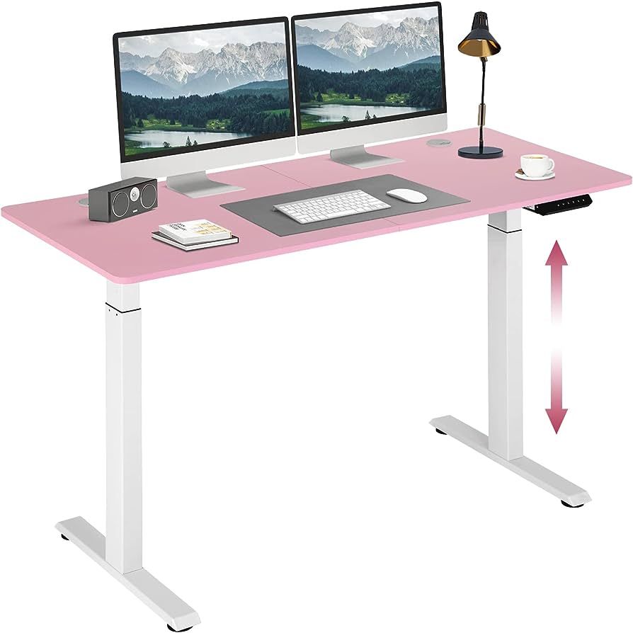 Standing Desk Converter Electric Height Adjustable Computer Desk 55 inches Home Office Gaming Des... | Amazon (US)
