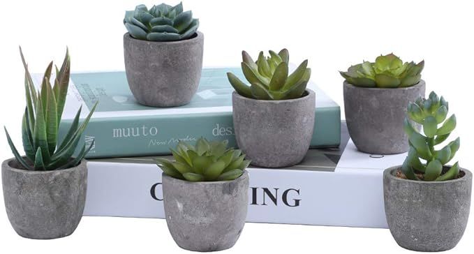 Meet Rose Set of 6 Small Artificial Succulent Plants with Pot Faux Succulent Plants for Desk Deco... | Amazon (US)