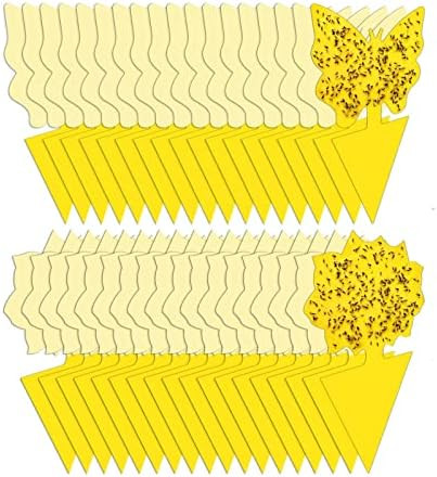 36 Pack Sticky Traps Plant Trap for Fungus Gnat, Fruit Fly Traps for Mosquito and Bug Indoor & Ou... | Amazon (US)